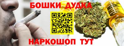 индика Донецк