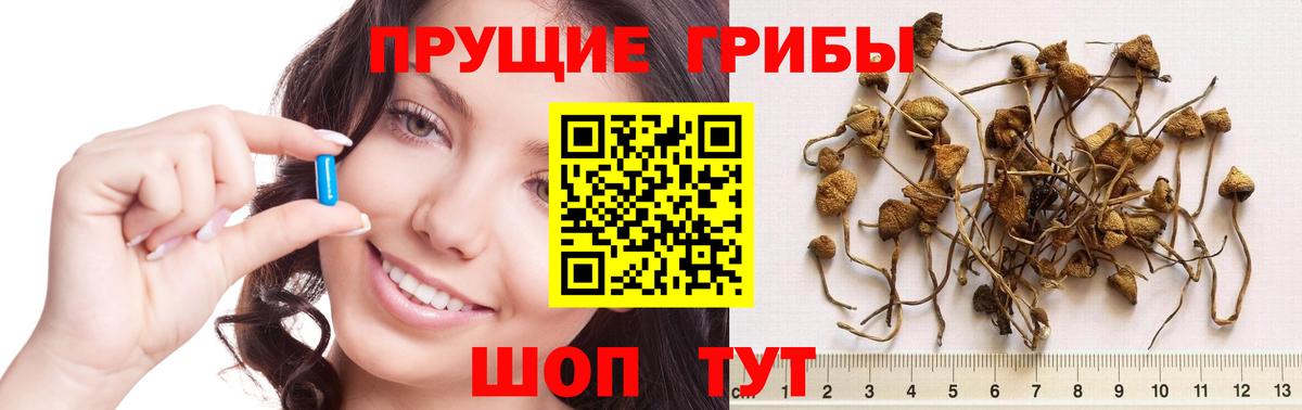 Псилоцибиновые грибы MAGIC MUSHROOMS  Галлюциногенные грибы прущие грибы  Минеральные Воды  Вход с VPN 